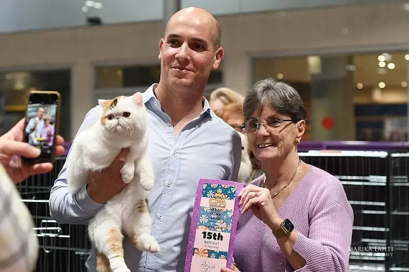 La guía de mi vocación