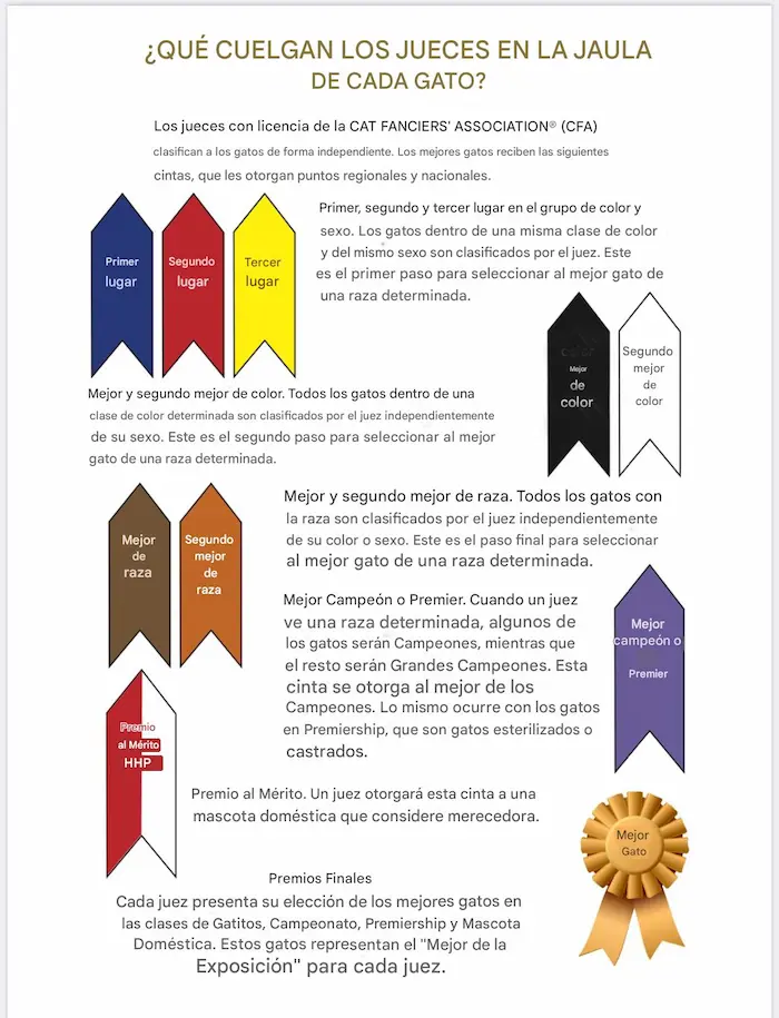 El Significado de las Cartulinas (Ribbons)