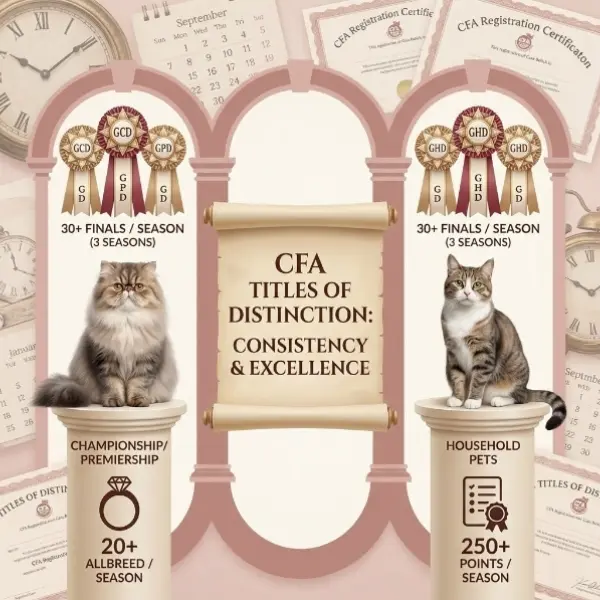 Categorías Especiales: Los Títulos de Distinción