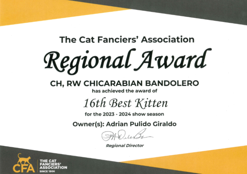 Titulos de GC RW Chicarabian Bandolero of Casa Belich