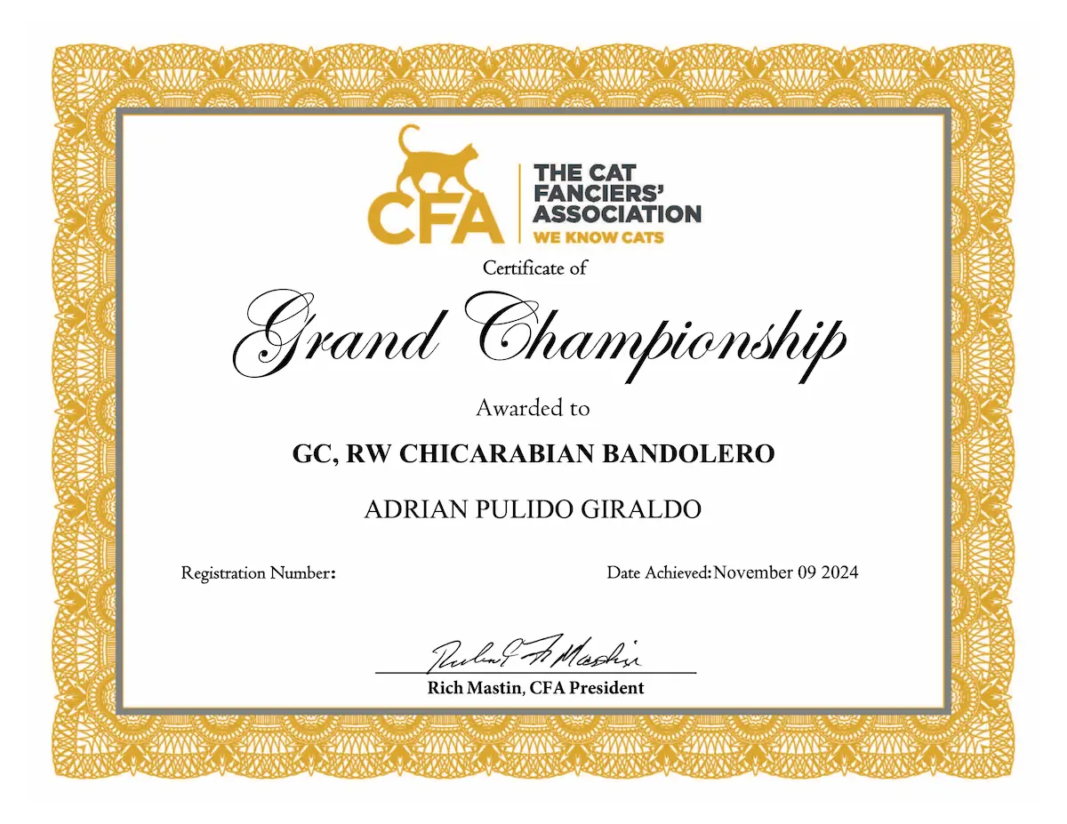 Titulos de GC RW Chicarabian Bandolero - foto 2