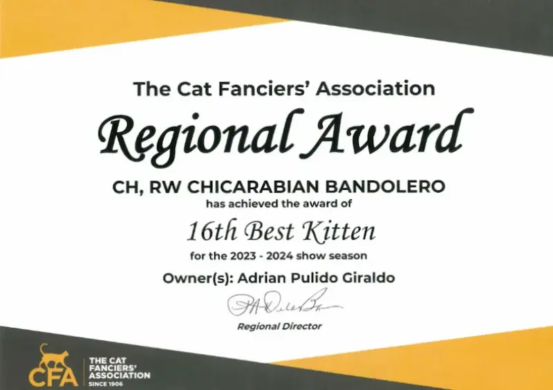 Titulos de GC RW Chicarabian Bandolero - foto 3