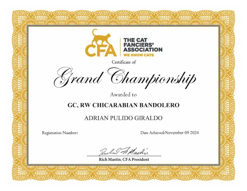 Titulos de GC RW Chicarabian Bandolero - foto 4