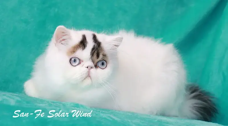 San-Fe Solar Wind of Casa Belich - foto 2