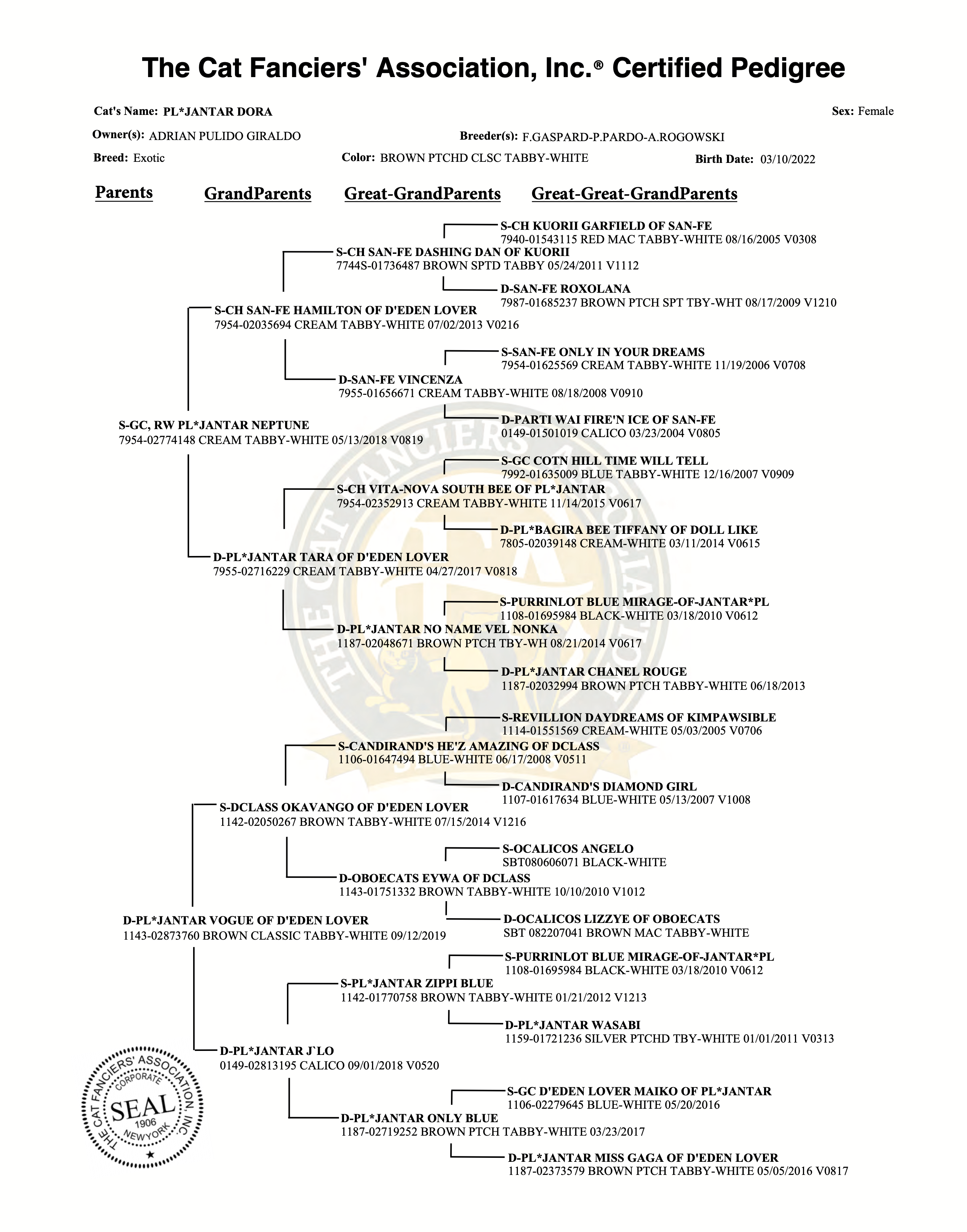 Pedigree de PL* Jantar Dora of Casa Belich