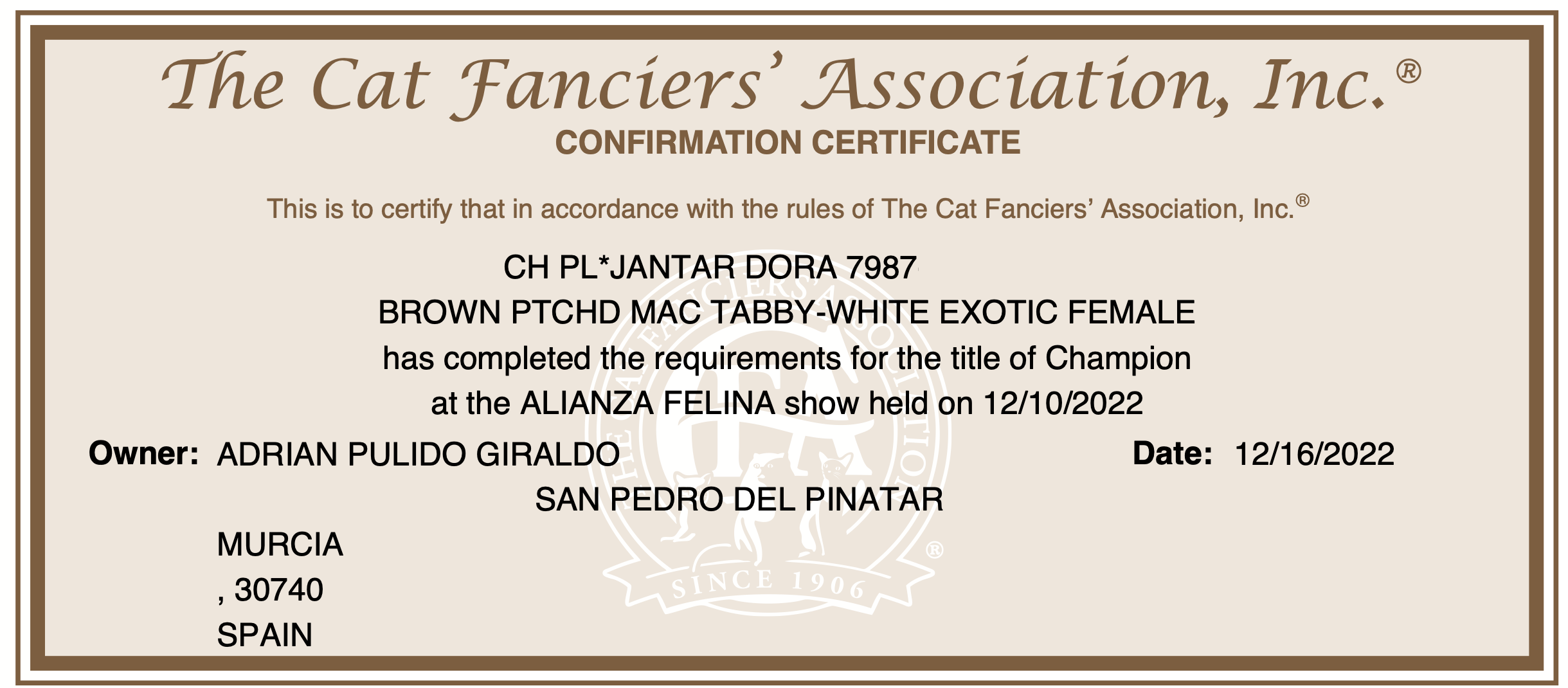 Titulos de PL* Jantar Dora of Casa Belich - foto 1