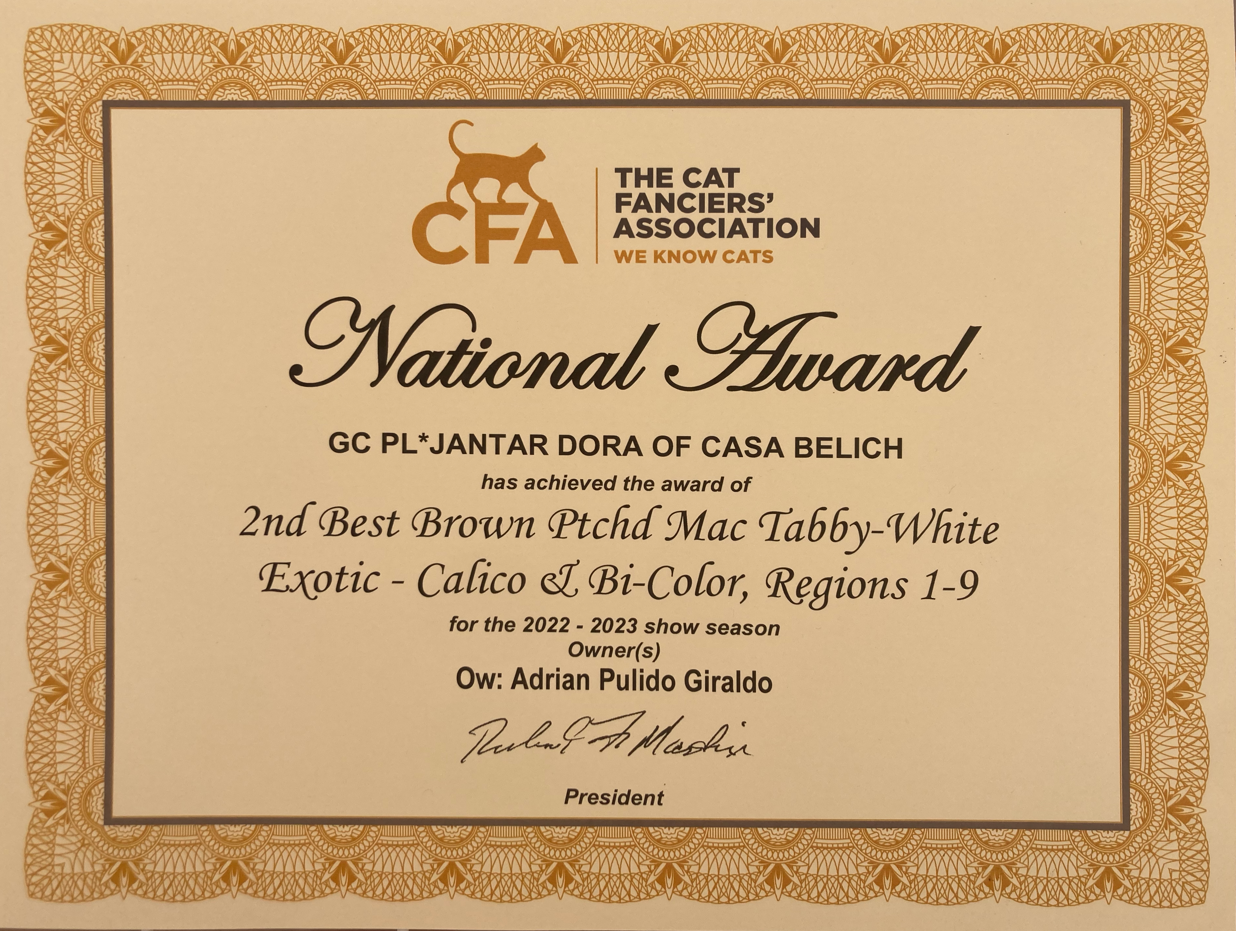 Titulos de PL* Jantar Dora of Casa Belich - foto 3