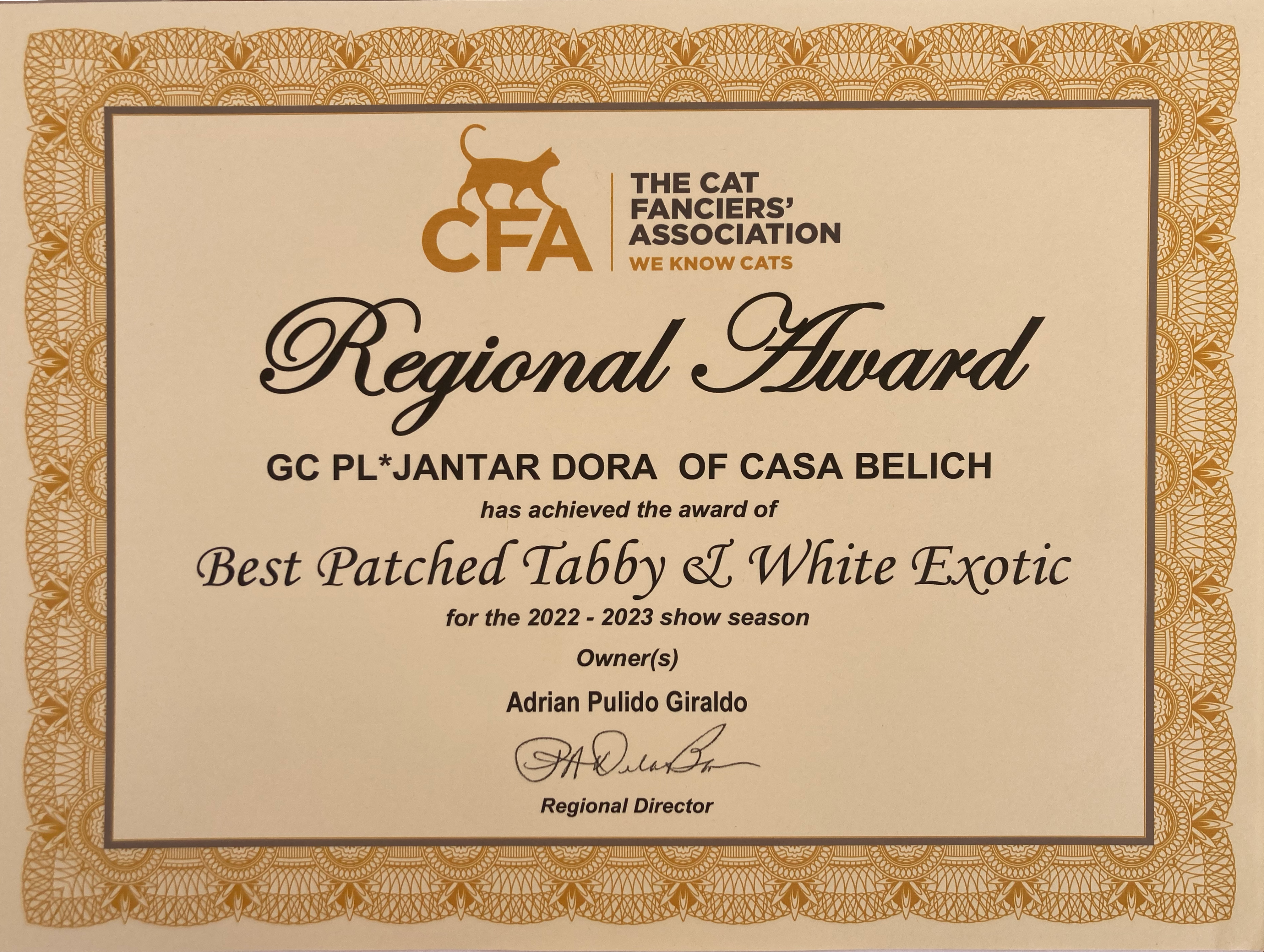 Titulos de PL* Jantar Dora of Casa Belich - foto 4