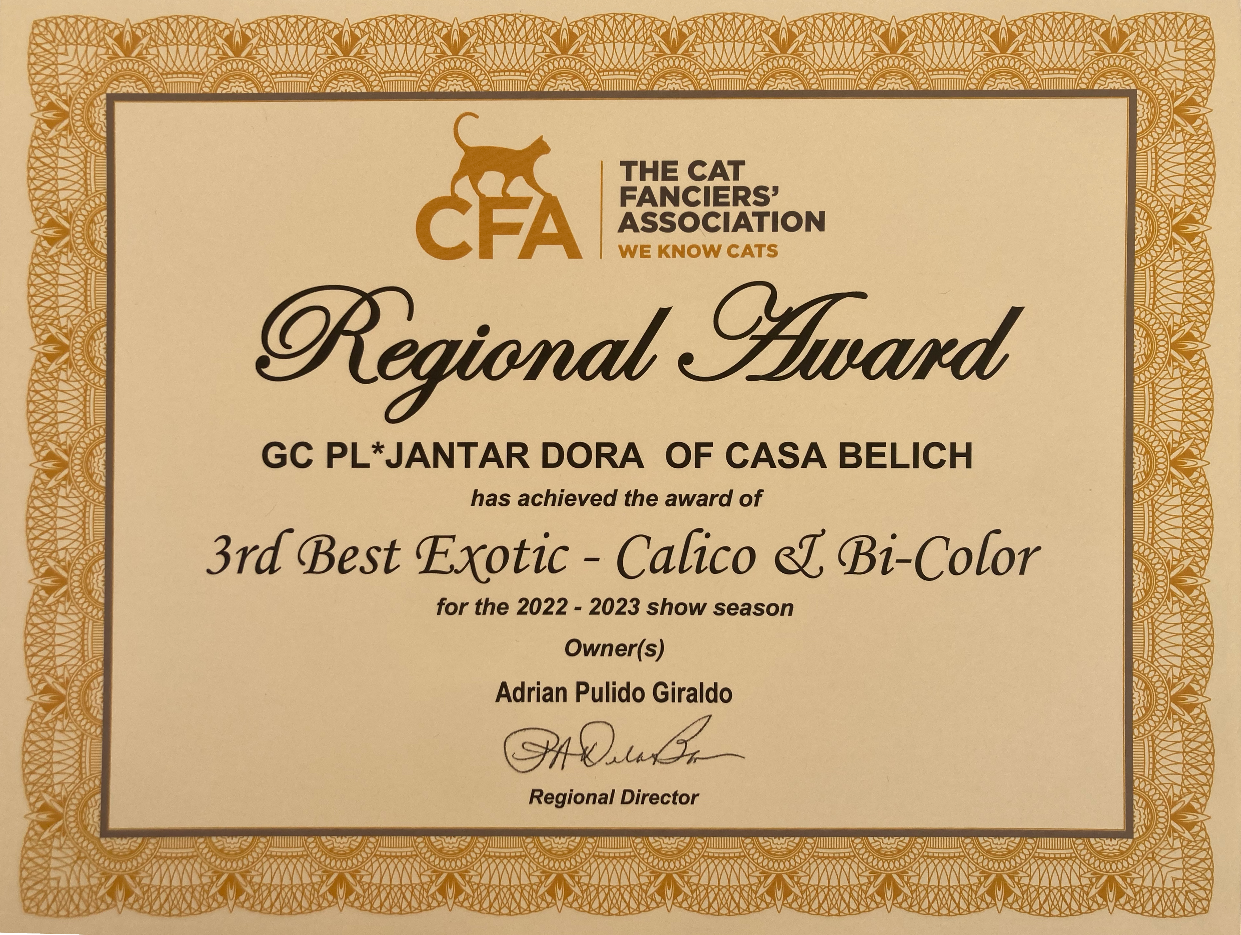 Titulos de PL* Jantar Dora of Casa Belich - foto 5