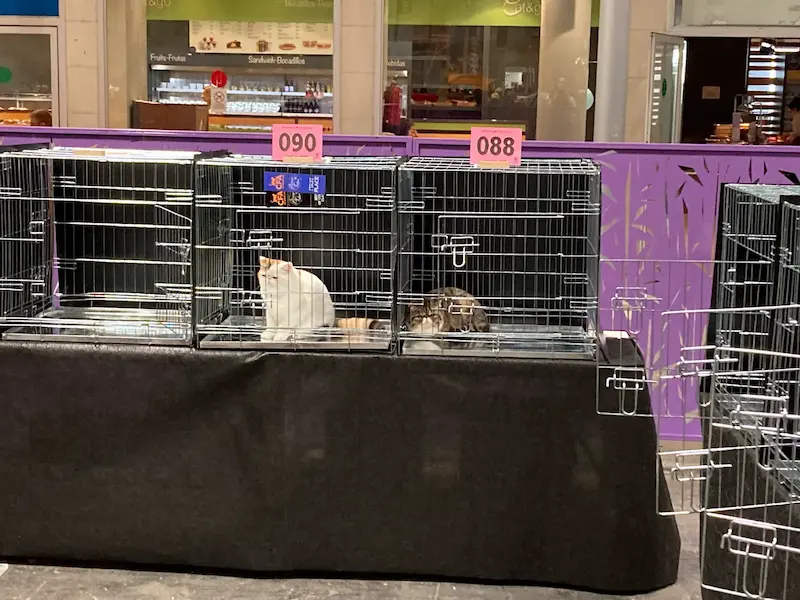 Imagen de la galería Resumen Fotografico 3