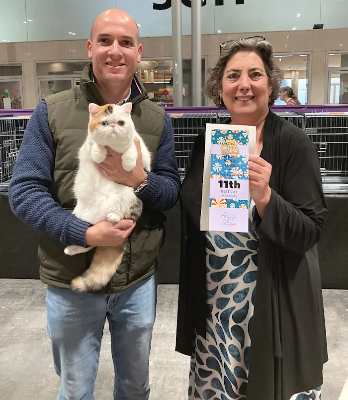 Imagen de la galería Resumen Fotografico 5