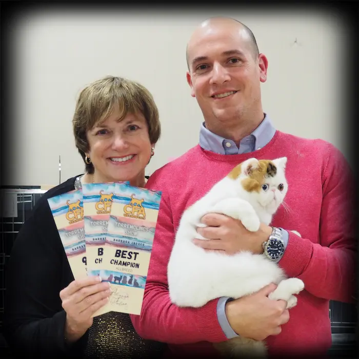 Foto de Torremolinos CFA Show 2023