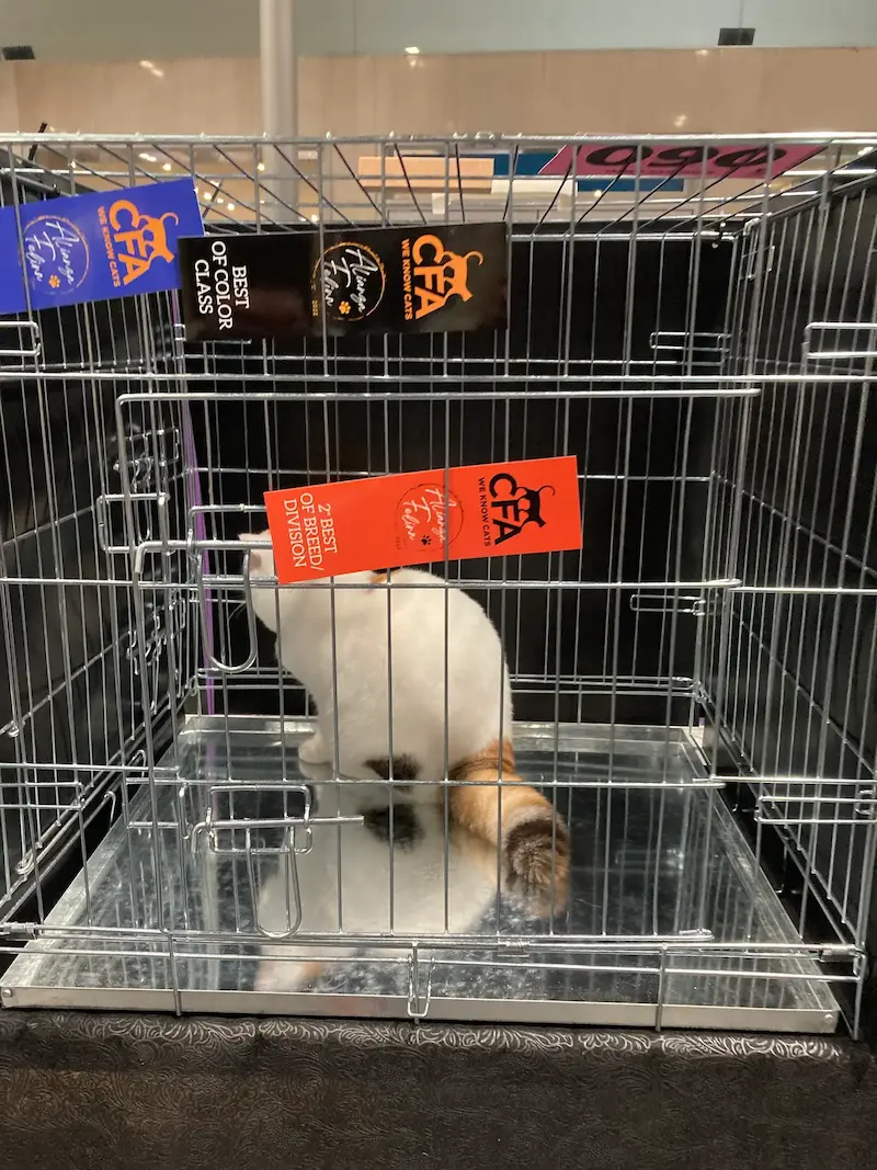 Imagen de la galería Resumen Fotografico 6