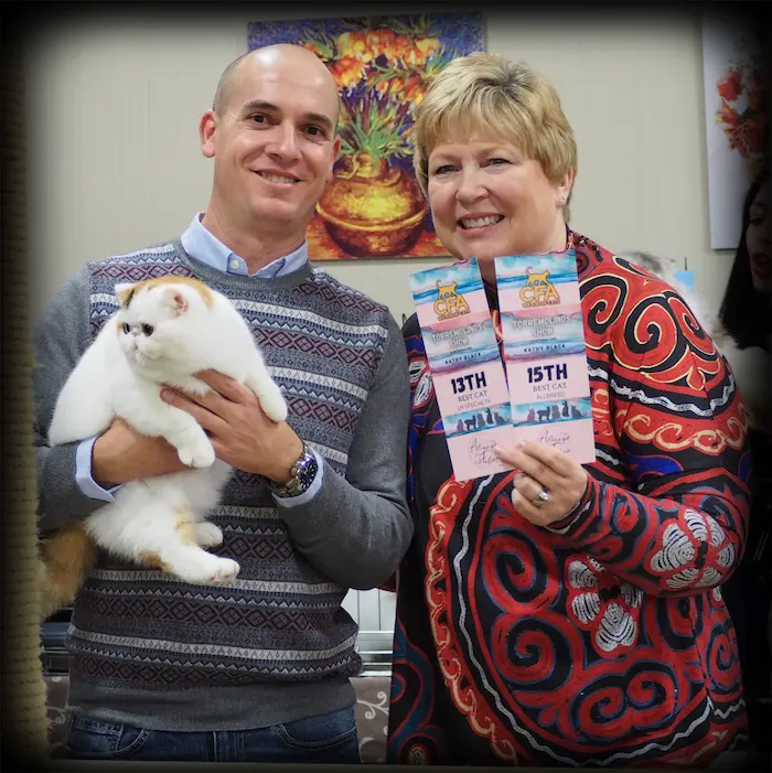 Imagen de la galería Resumén Fotografico - Torremolinos CFA Show 2023 12