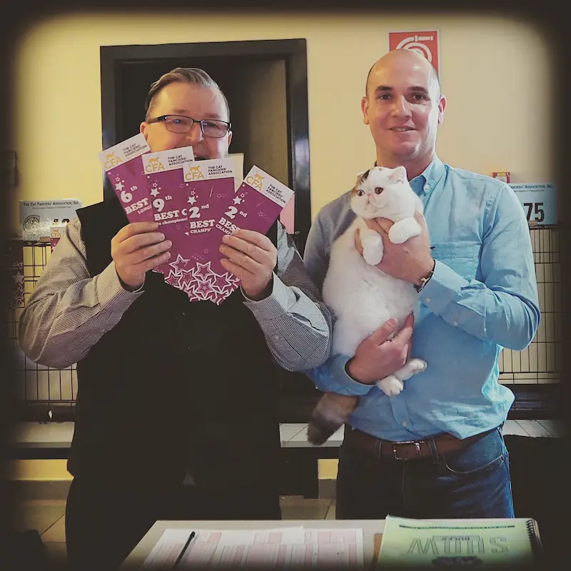 Imagen de la galería Resumen Fotográfico - San Genesio American Cat Show CFA 12