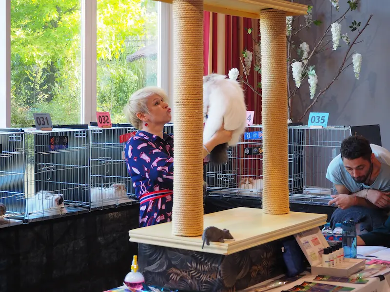 Imagen de la galería Resumen Fotográfico - Alcala de Henares  CFA Show 3