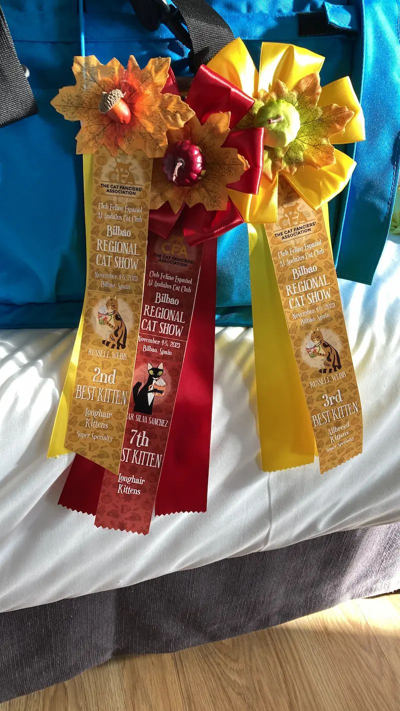 Imagen de la galería Resumen Fotográfico - Bilbao Regional CFA Show 1