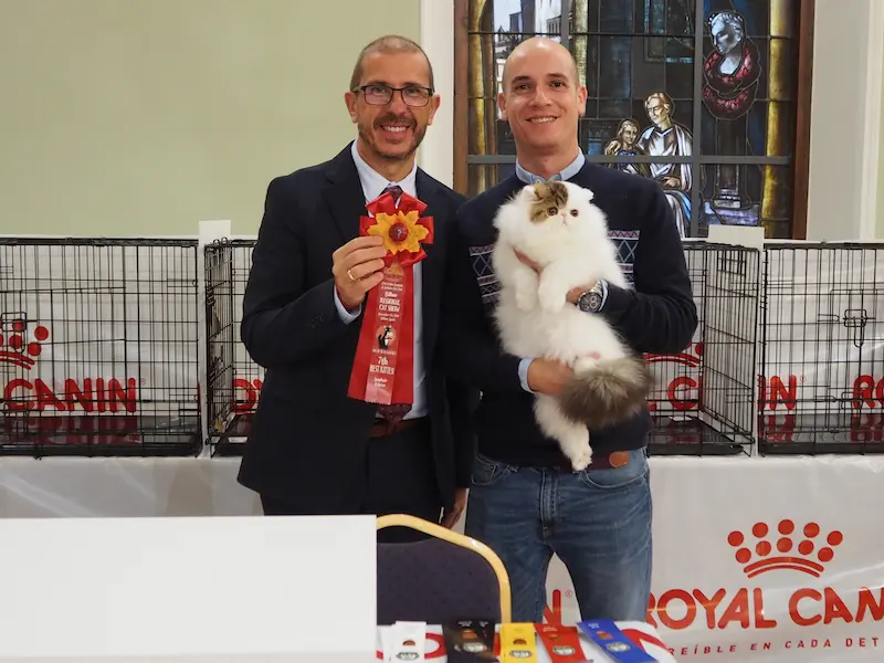 Foto del premio de GC RW Chicarabian Bandolero