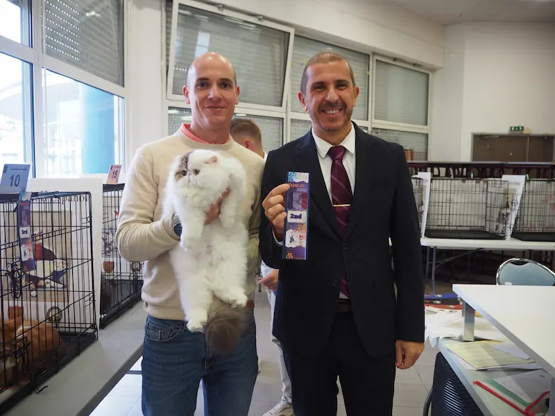 Foto del premio de GC RW Chicarabian Bandolero