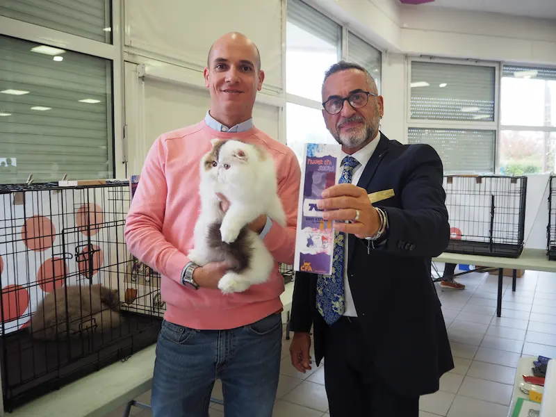 Imagen de la galería Resumen Fotográfico - Marmande American CFA Cat Show 1