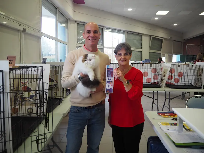 Imagen de la galería Resumen Fotográfico - Marmande American CFA Cat Show 3