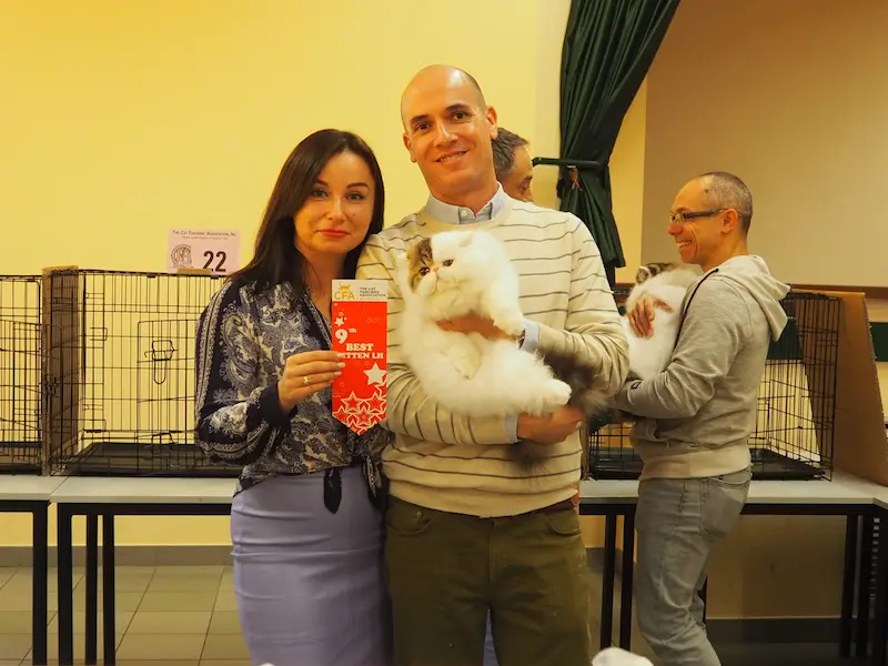 Foto del premio de GC RW Chicarabian Bandolero