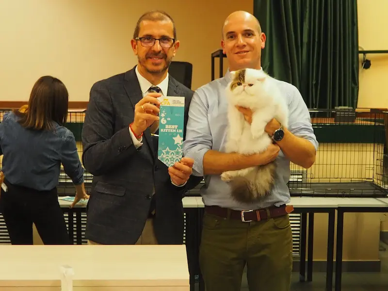 Foto del premio de GC RW Chicarabian Bandolero