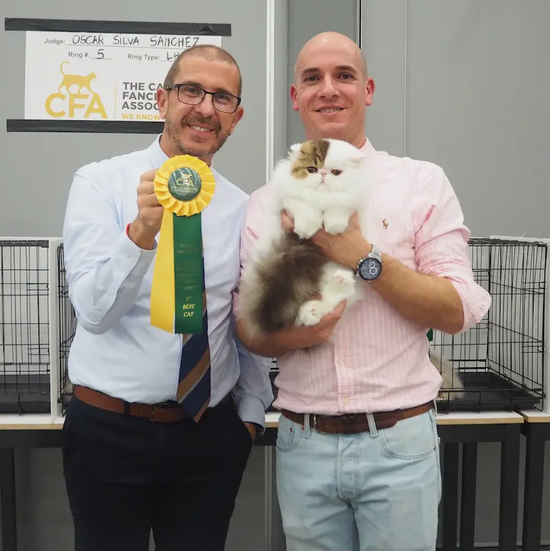 Foto del premio de GC RW Chicarabian Bandolero