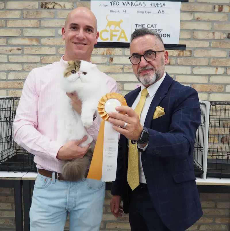 Foto del premio de GC RW Chicarabian Bandolero