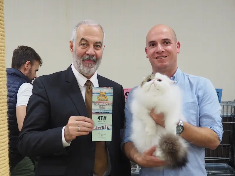 Imagen de la galería Resumen Fotográfico - Torremolinos CFA Show 2024 1