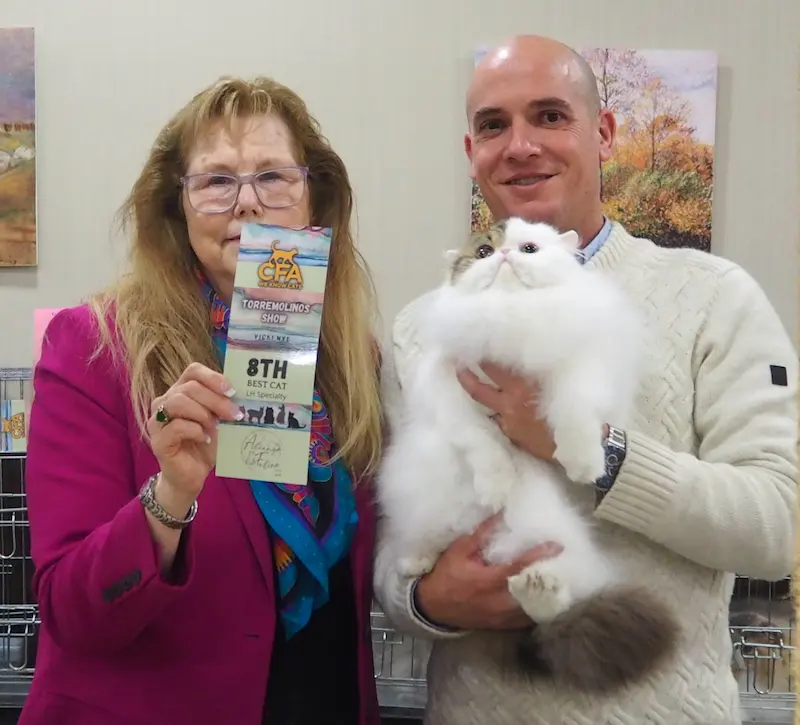 Imagen de la galería Resumen Fotográfico - Torremolinos CFA Show 2024 3