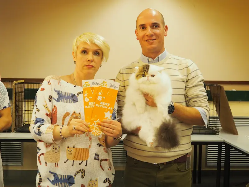 Imagen de la galería Resumen Fotográfico - American Cat CFA Show Noviembre 2023 3