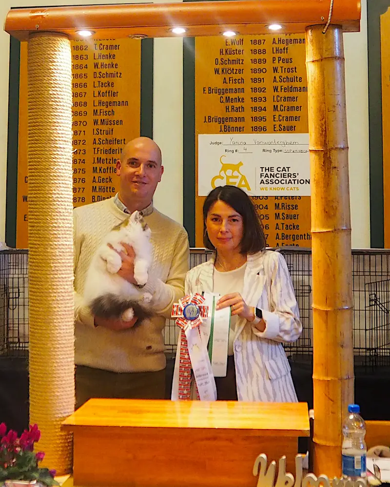 Imagen de la galería Resumen Fotográfico - Ash Lovers of Europe CFA Cat Show 1