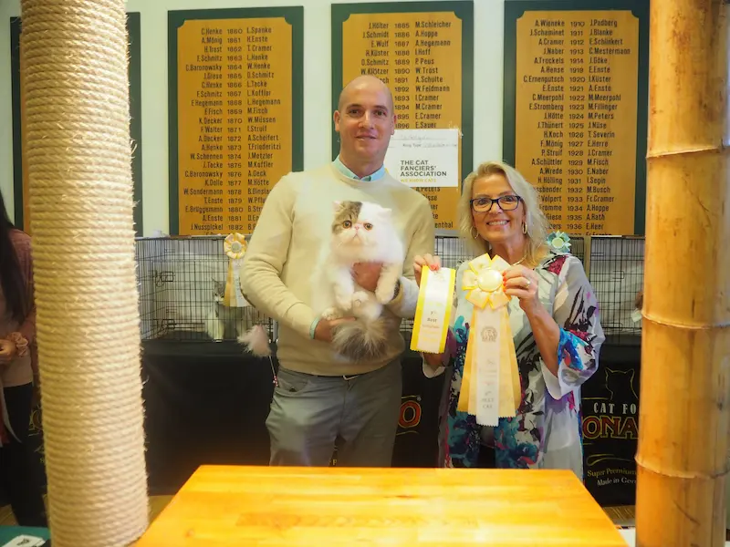 Imagen de la galería Resumen Fotográfico - Ash Lovers of Europe CFA Cat Show 3