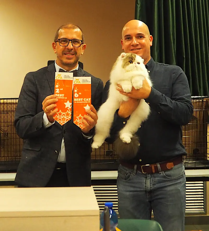 Foto del premio de GC RW Chicarabian Bandolero