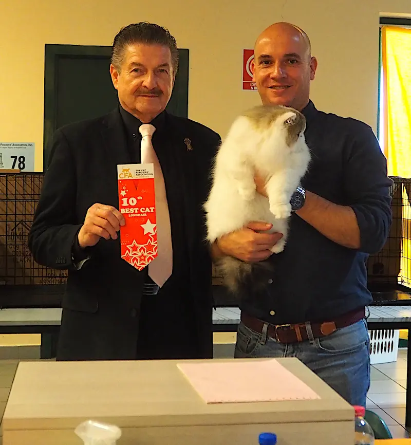 Foto del premio de GC RW Chicarabian Bandolero