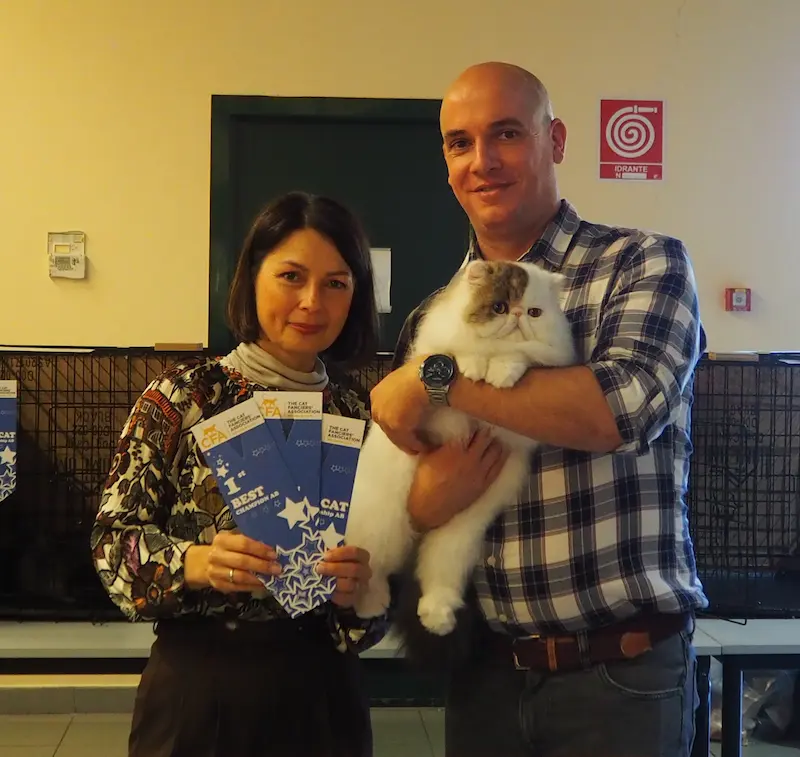 Imagen de la galería Resumen Fotográfico - American Cat CFA Show Noviembre 2024 1