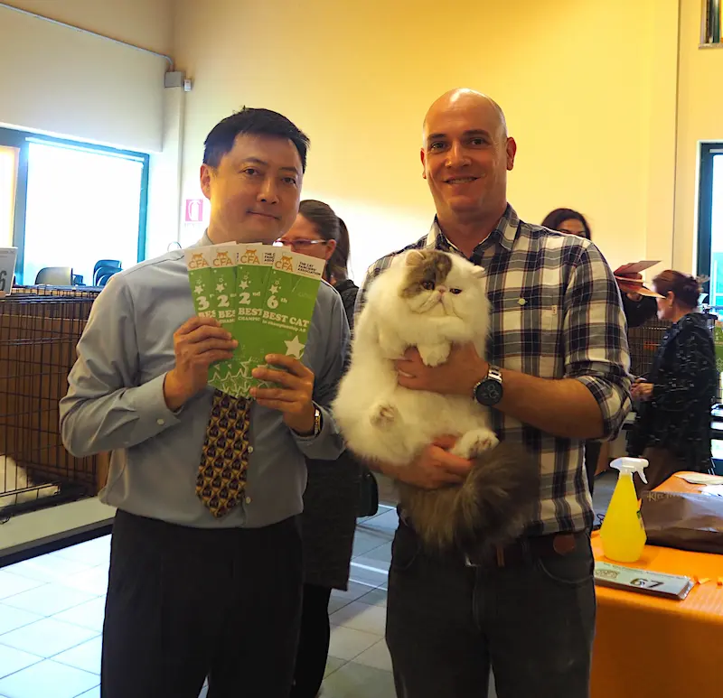 Imagen de la galería Resumen Fotográfico - American Cat CFA Show Noviembre 2024 5