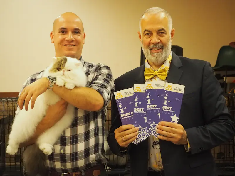 Imagen de la galería Resumen Fotográfico - American Cat CFA Show Noviembre 2024 14