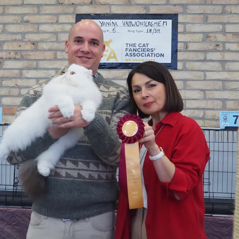 Foto de CFA Wintershow 2024