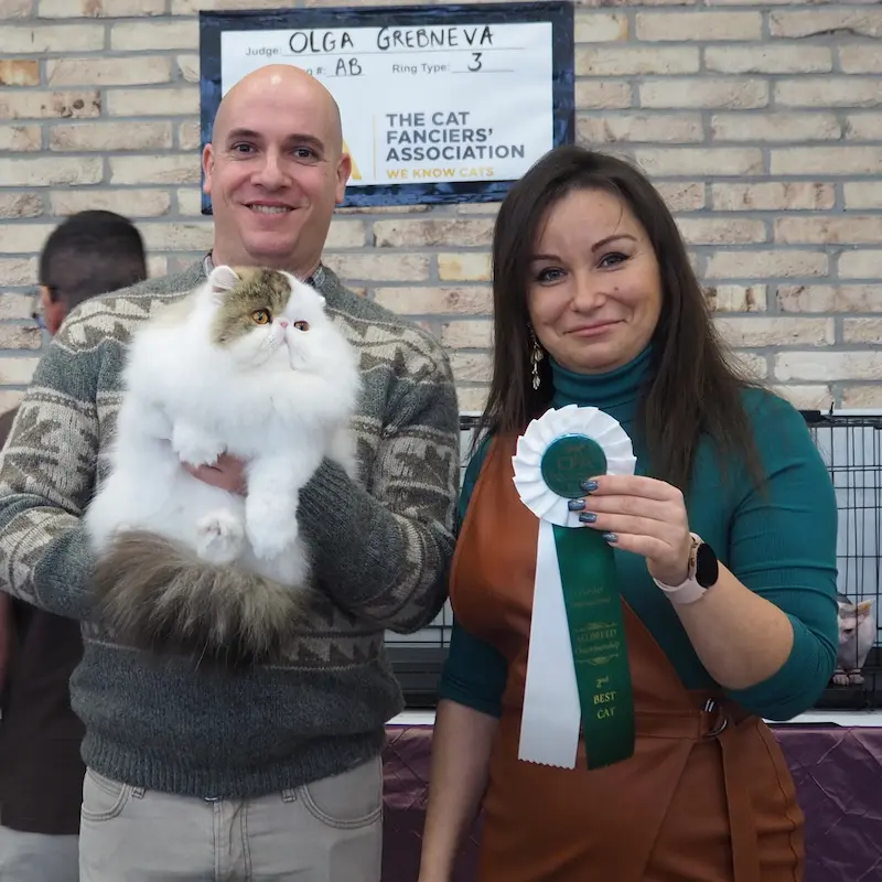 Foto del premio de GC RW Chicarabian Bandolero