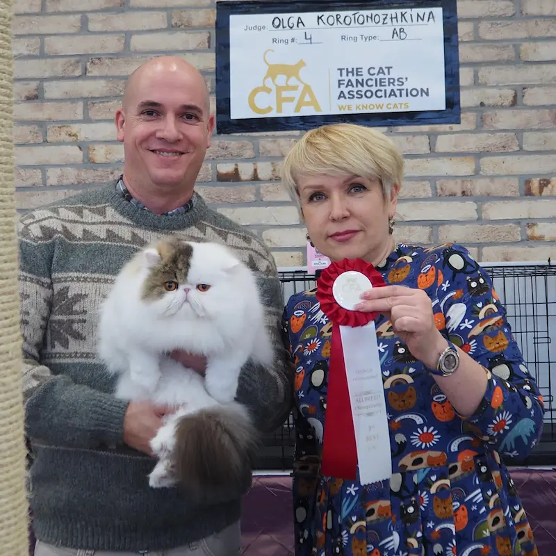 Foto del premio de GC RW Chicarabian Bandolero