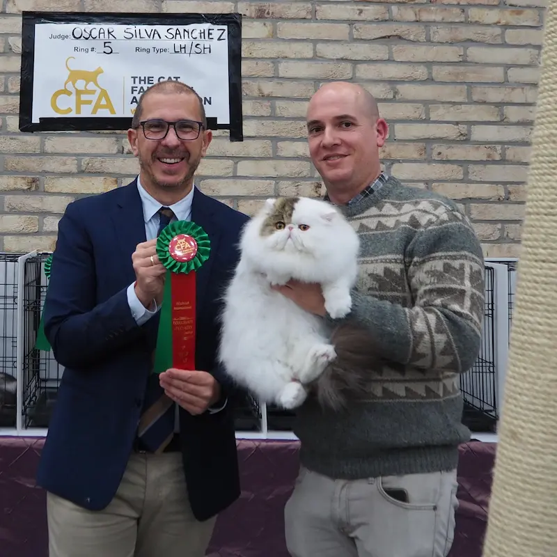 Foto del premio de GC RW Chicarabian Bandolero