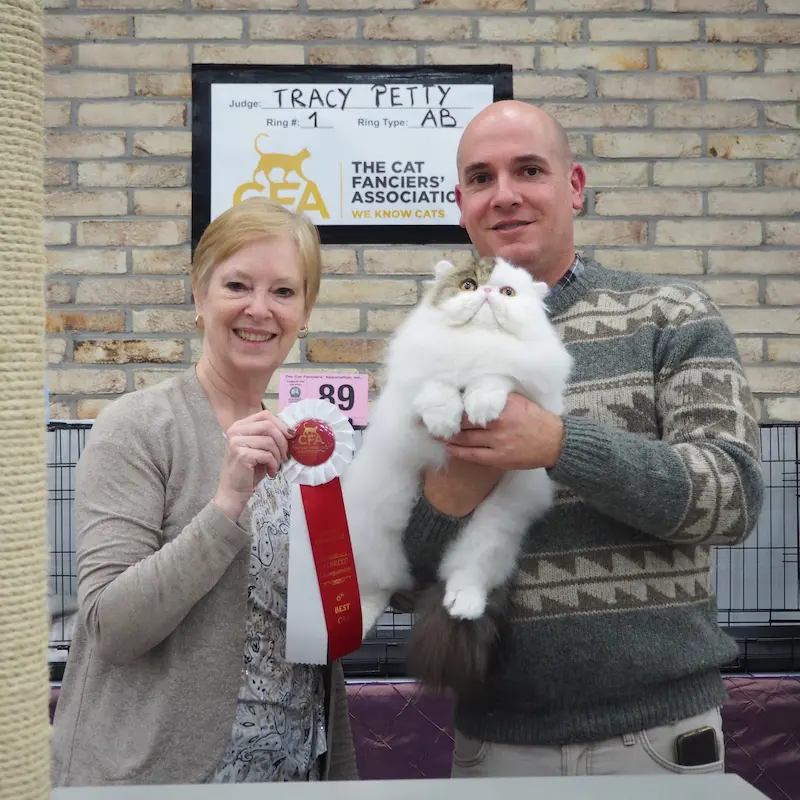 Foto del premio de GC RW Chicarabian Bandolero