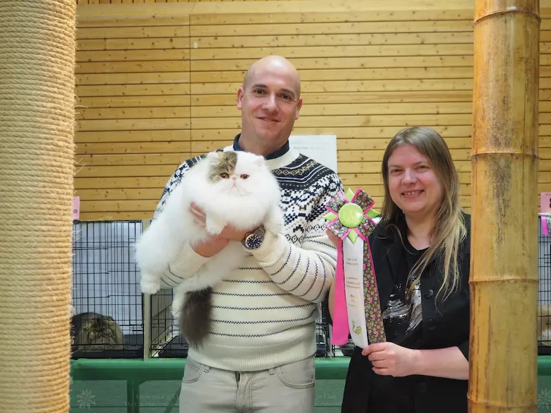 Foto del premio de GC RW Chicarabian Bandolero