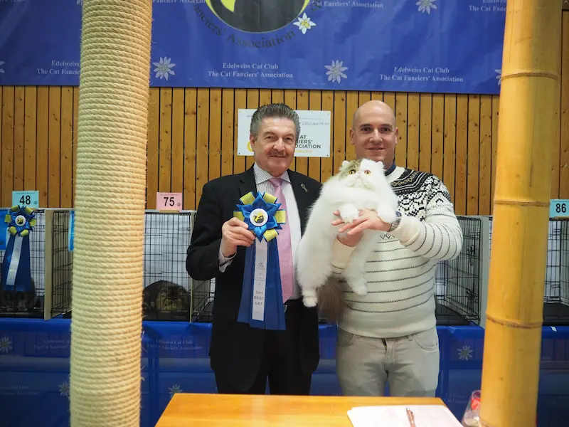 Foto del premio de GC RW Chicarabian Bandolero