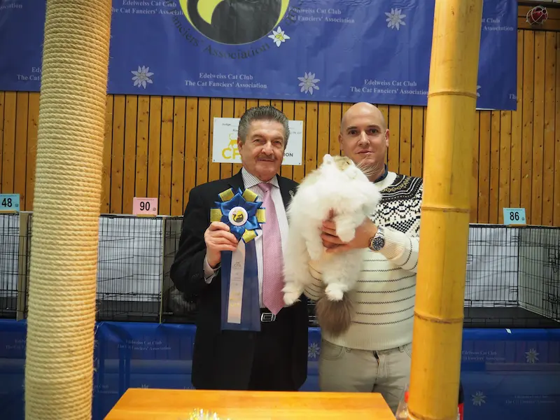 Foto del premio de GC RW Chicarabian Bandolero