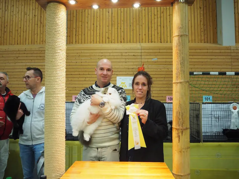 Foto del premio de GC RW Chicarabian Bandolero