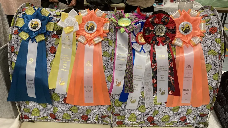 Imagen de la galería Resumen Fotográfico - Happy New Year CFA Show 7