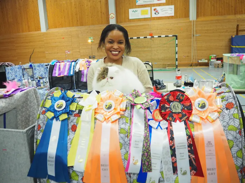 Imagen de la galería Resumen Fotográfico - Happy New Year CFA Show 9